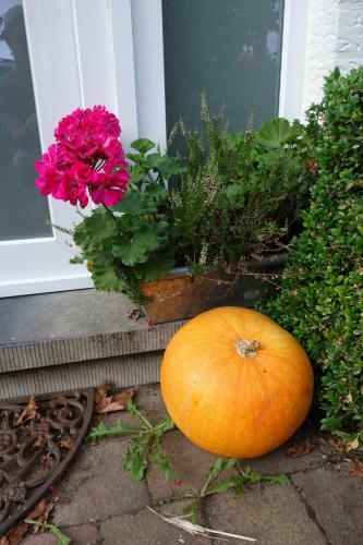 Bed & Breakfast Au Fil Des R�ves