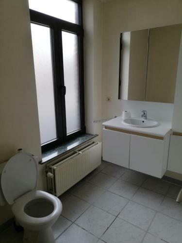 Apartamento 3 Bed Business Flat In Ronse