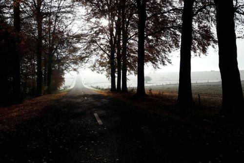 La Cense Du Vieux Fr�ne