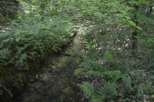 Apartamento Le Moulin De Chatillon