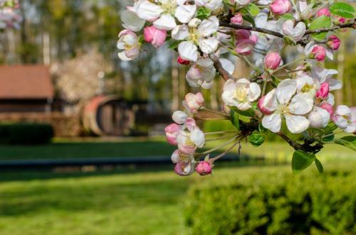Bed & Breakfast Villa Gerhagen