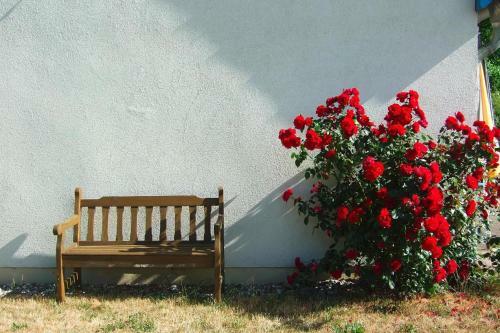 Apartamento Flat In Klocksin With A Garden
