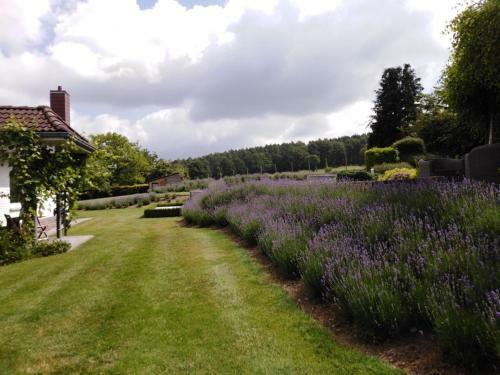 Bed & Breakfast La Milardi�re