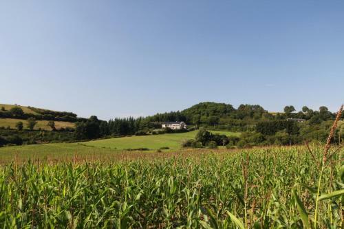 Apartamento Sassor Village