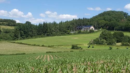 Apartamento Sassor Village