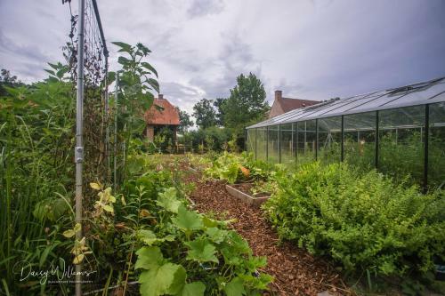 Biohoeve 't Bezige Bieke Met Priv� Wellness