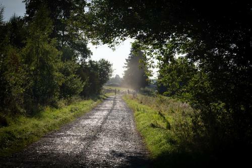 Chez Lisa Avec Jaccuzi