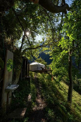 Panorama Jurte �ber Dem Uri-see (sisikon)
