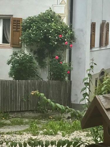 Apartamento Alte Post Mit Geschichte Und Restaurant