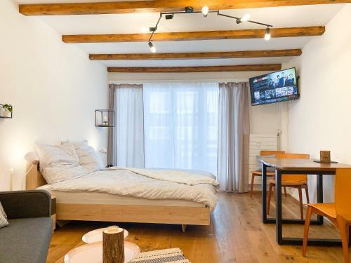 Apartamento Swissme - Modernes Studio Mit Balkon & Parkplatz & Netflix