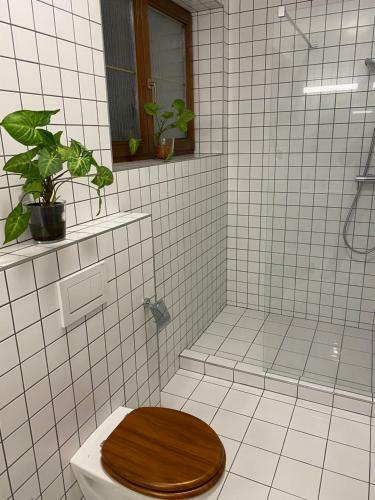 Hostal ?abinec - Penzion, Vinot�ka