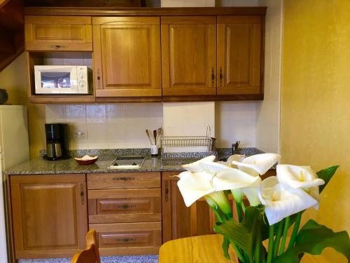 Apartamentos El Prad�n De Santa Marina