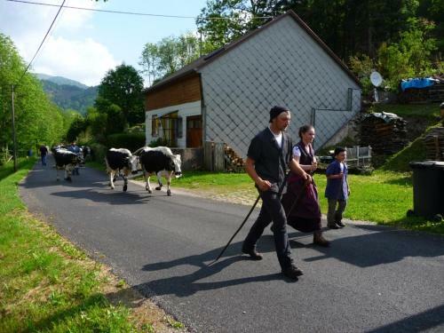 Bed & Breakfast Les Rondins De La Fecht