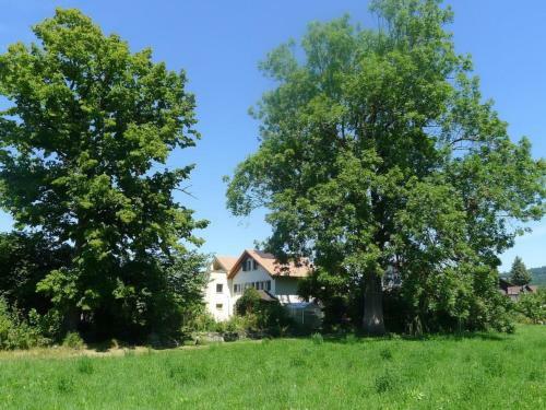 Apartment Ferienhaus Oase Am M�hlebach