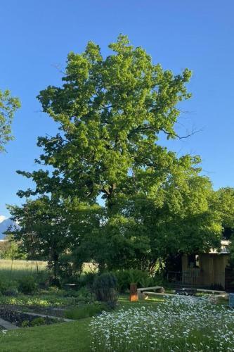 Apartment Ferienhaus Oase Am M�hlebach