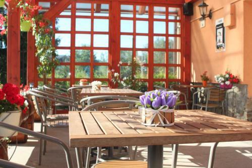 Hostal Pension Motel Anna