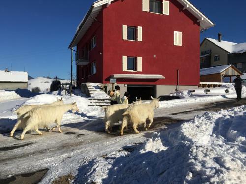 Bed & Breakfast Bnb Chezlise