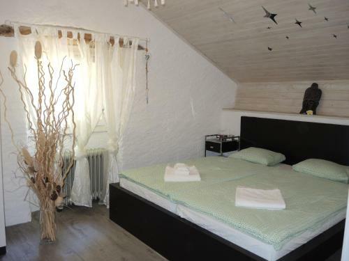 Apartamento Rustico Gino