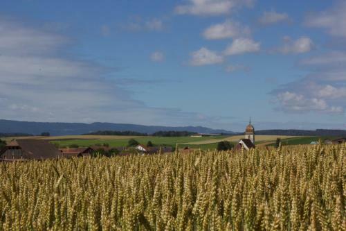 Chez Redamo
