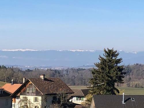 Villa Spacieuse Entre Fribourg Et Morat