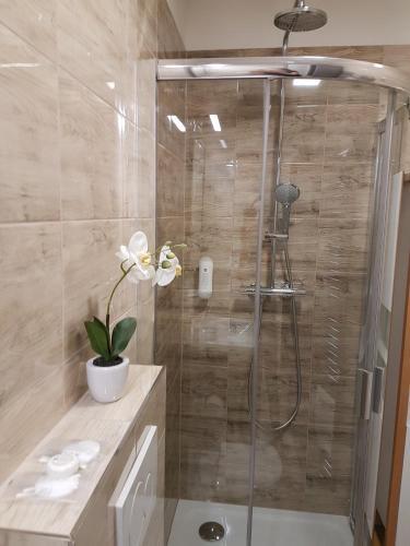 Wellness Apartm�ny Emporio