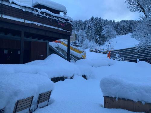 Apartamento Chalet Schiltwald Innerwengen