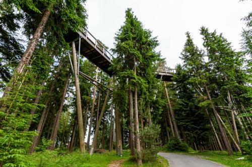 Apartamento Lipno Canada 6