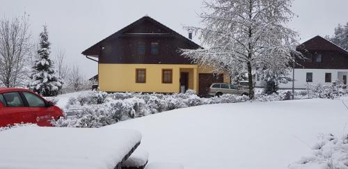 Villa Park Lipno 206