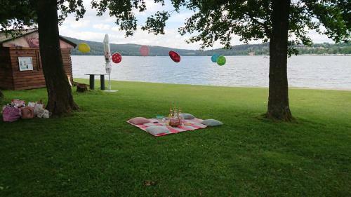 Lipno99