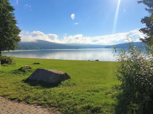 Holiday Home Residence Lipno-1