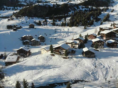 Apartamento Sch�negg Hochparterre