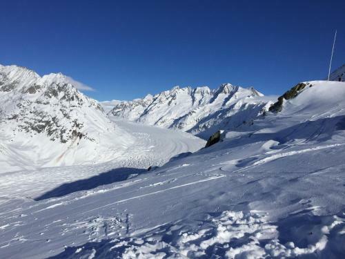 Apartment Edelweiss 34 Riederalp