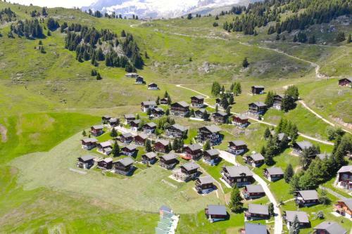 Chalet Collini