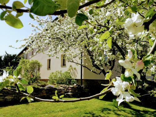 Agroturismo Statek "two Brooms", Apartment