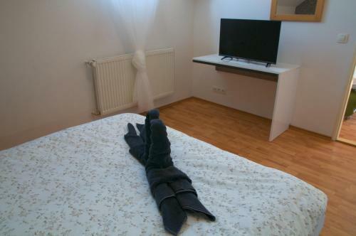 Hostal Penzion St?�brn� Lhota
