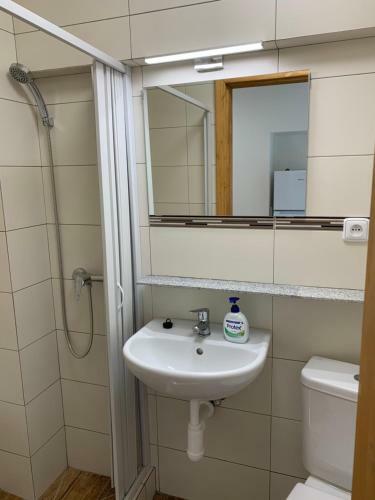 Apartm�ny Kosmonosy, Hradi?tsk� 193