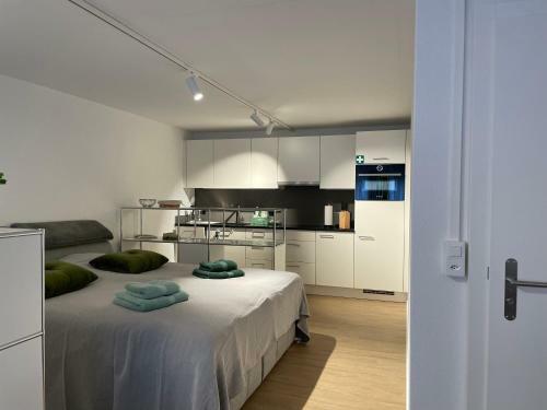 Apartamento Studio Gocki