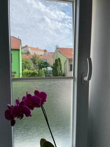Apartamento Casa Bianco Mikulov