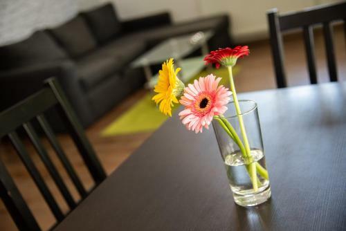 Saeli Apartments