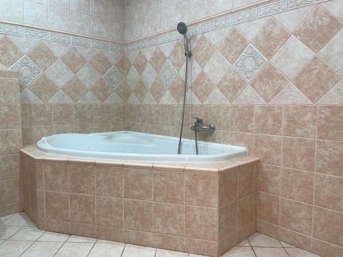 Apartamento P�lava House Mikulov