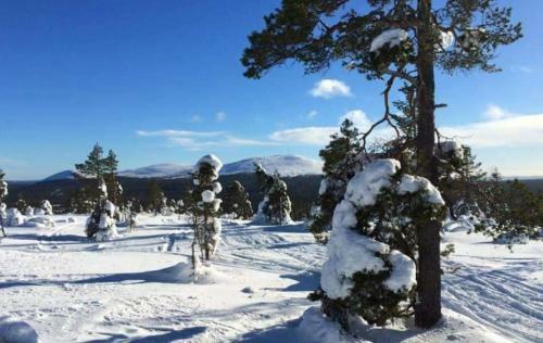 Apartamento Yll�s Saaga Chalets 2x Skipasses Incklusive