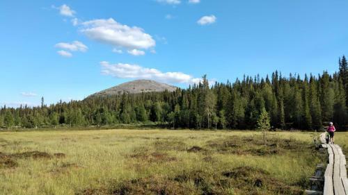 Apartamento Yll�s Saaga Chalets 2x Skipasses Incklusive