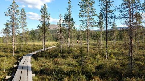 Apartamento Yll�s Saaga Chalets 2x Skipasses Incklusive