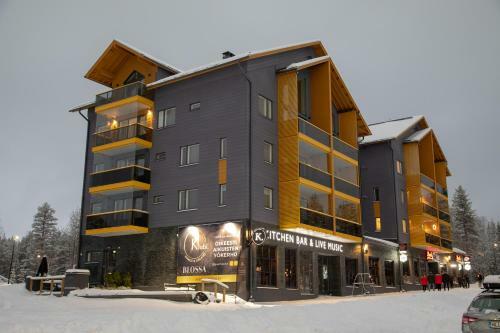 Levin Kunkku B2 Apartment Grey