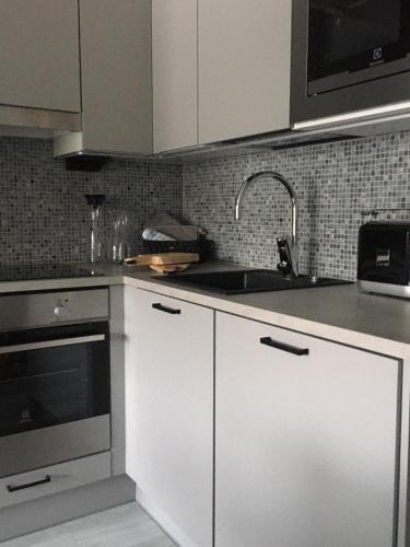 Levin Kunkku B2 Apartment Grey