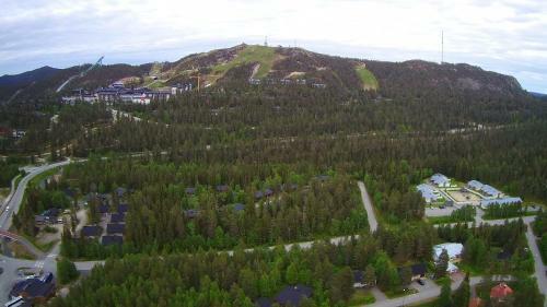 Rukanjuuri 3