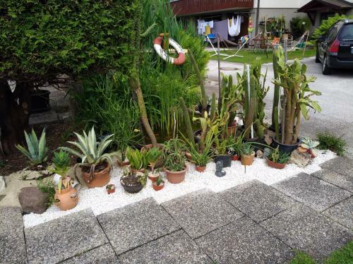 Apartamento Haus Friedburg