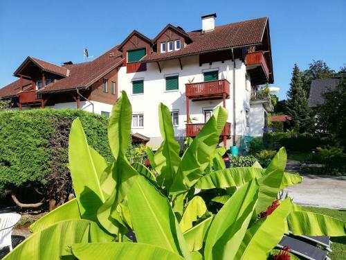 Apartamento Haus Friedburg