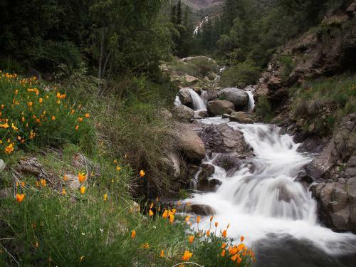 Lodge Caba�as Cascada De Las Animas