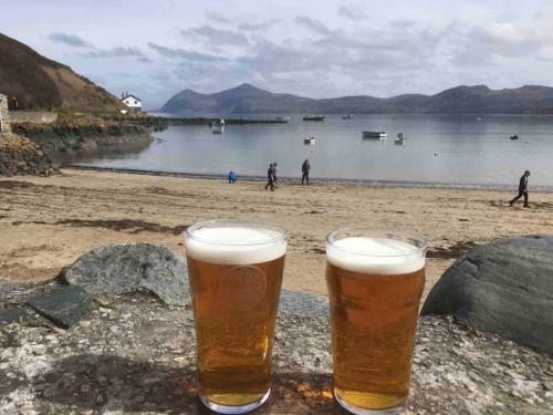 Ty Newydd North Wales Escape